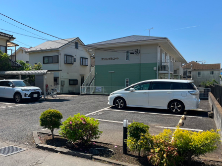 オリエンタルコートの写真