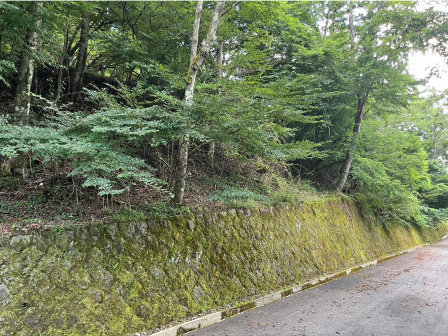 山中湖村　土地の写真