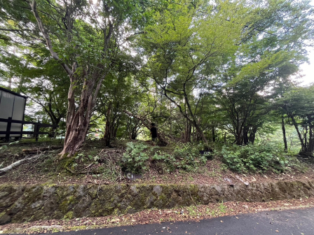 山中湖村　土地の画像